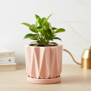 Maceta geometrica rosada 12cm patron 3D relieve ceramica mate premium